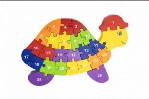 3D Turtle Puzzle
